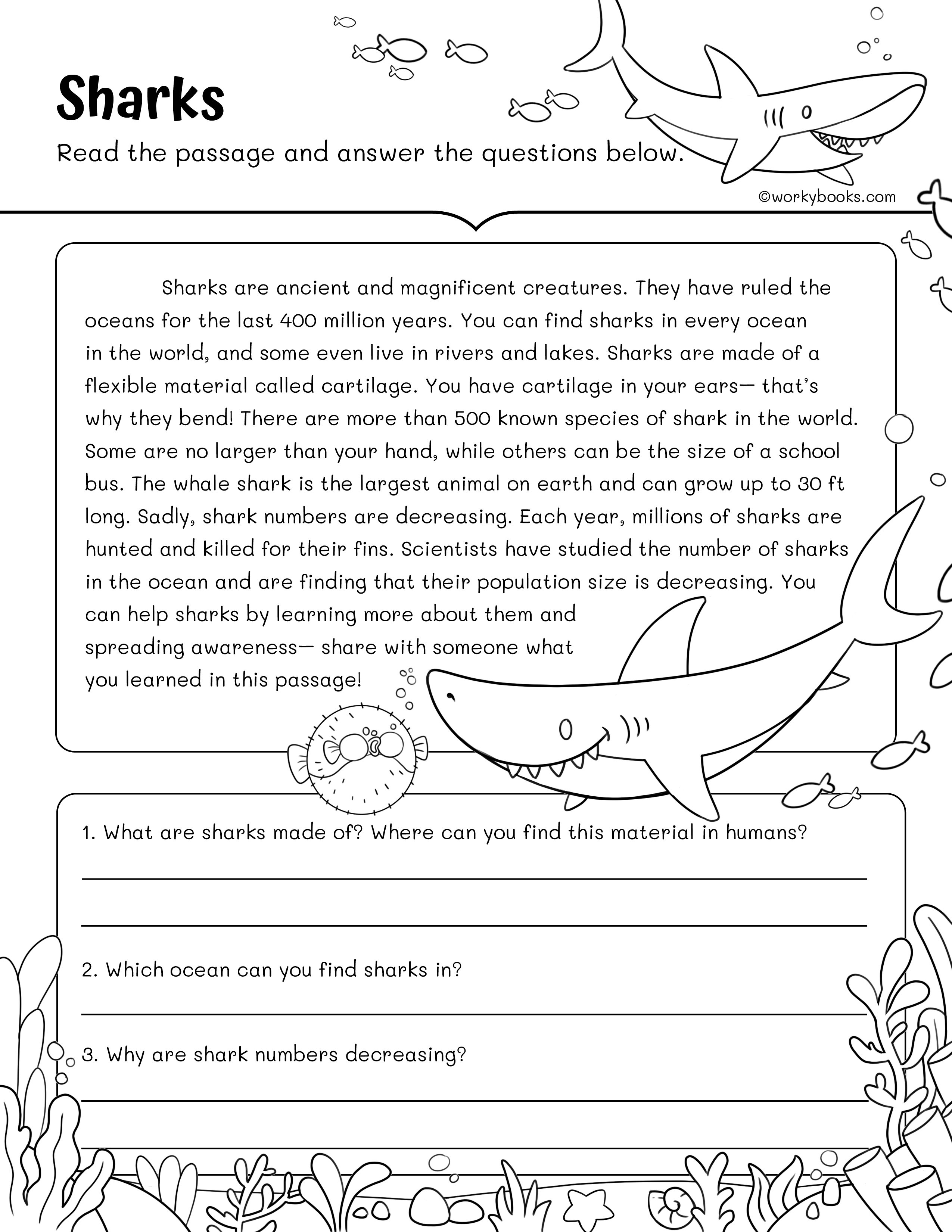 Free Rd Grade Reading Fluency Passages Workybooks Blog